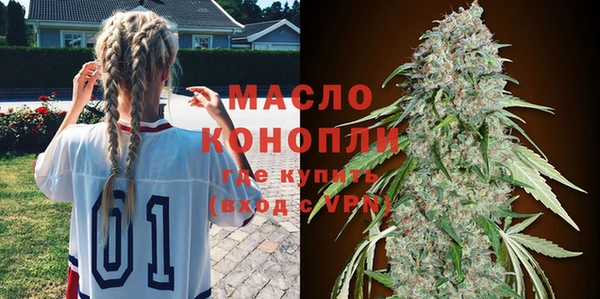 mix Богородицк