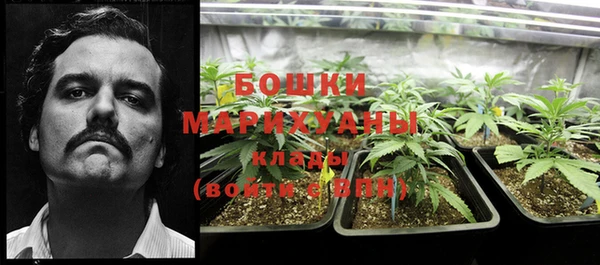 сатива Верхний Тагил